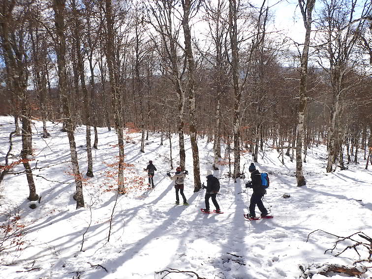 Image de rando_1643564120.jpg