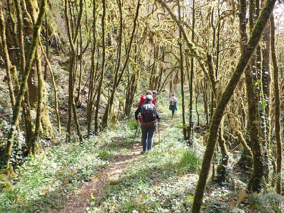 Image de rando_1650534352.jpg